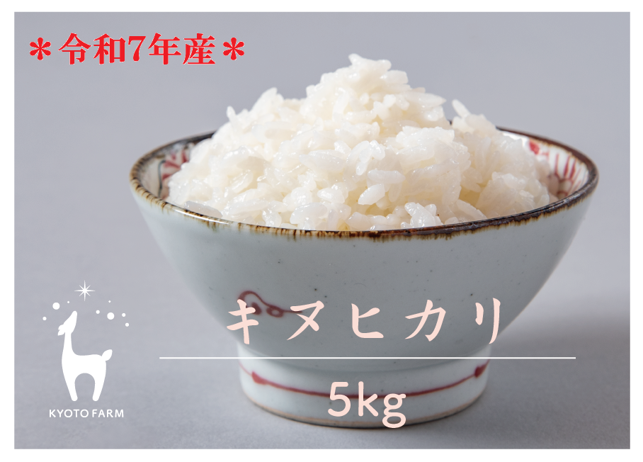 キヌヒカリ ２０キロ 精米済み 白米 お米 農家直送 20kg 送料無料!新米白米 令和7年度産 滋賀県産 減農薬栽培 キヌヒカリ