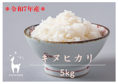 キヌヒカリ精米５kg