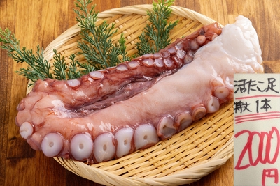 タコ足１本　【送料20P】