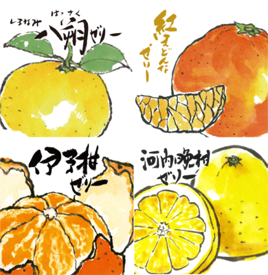 果肉ゴロゴロ愛媛県産柑橘使用ゼリー4個入【熨斗対応可】