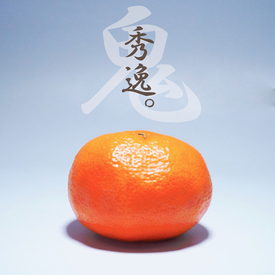 温州みかんS～L　10kg（お歳暮ご好適品・産地直送）