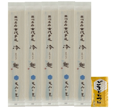 手延べひやむぎ5本セット (送料無料)