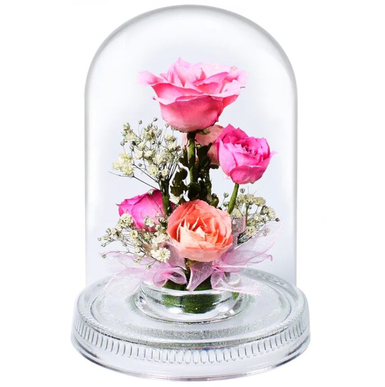 R-K ドライフラワー スモール | 浜屋オンラインストア