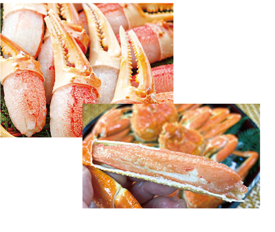 【飯坂冨士商店】ボイルズワイ蟹脚・ボイルズワイ蟹爪セット