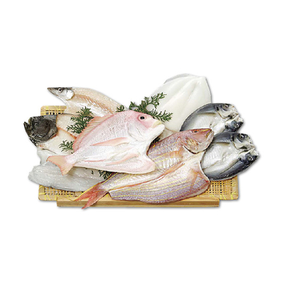 【山道商店】竜宮一夜干