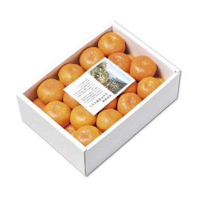 【長崎県産】特選伊木力佐瀬みかん