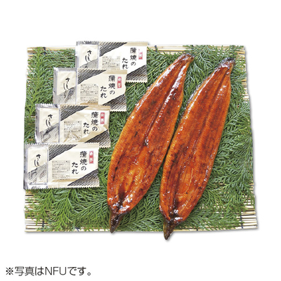 【双葉水産】鹿児島県大隅産 うなぎ蒲焼2尾詰合せ