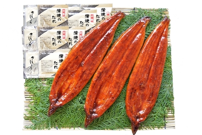 【双葉水産】鹿児島県大隅産 うなぎ蒲焼3尾詰合せ