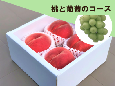 桃農家、葡萄農家 15と葡萄コース】桃－秀 | 中西農園ショップ