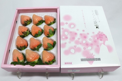 淡雪（福岡県産）