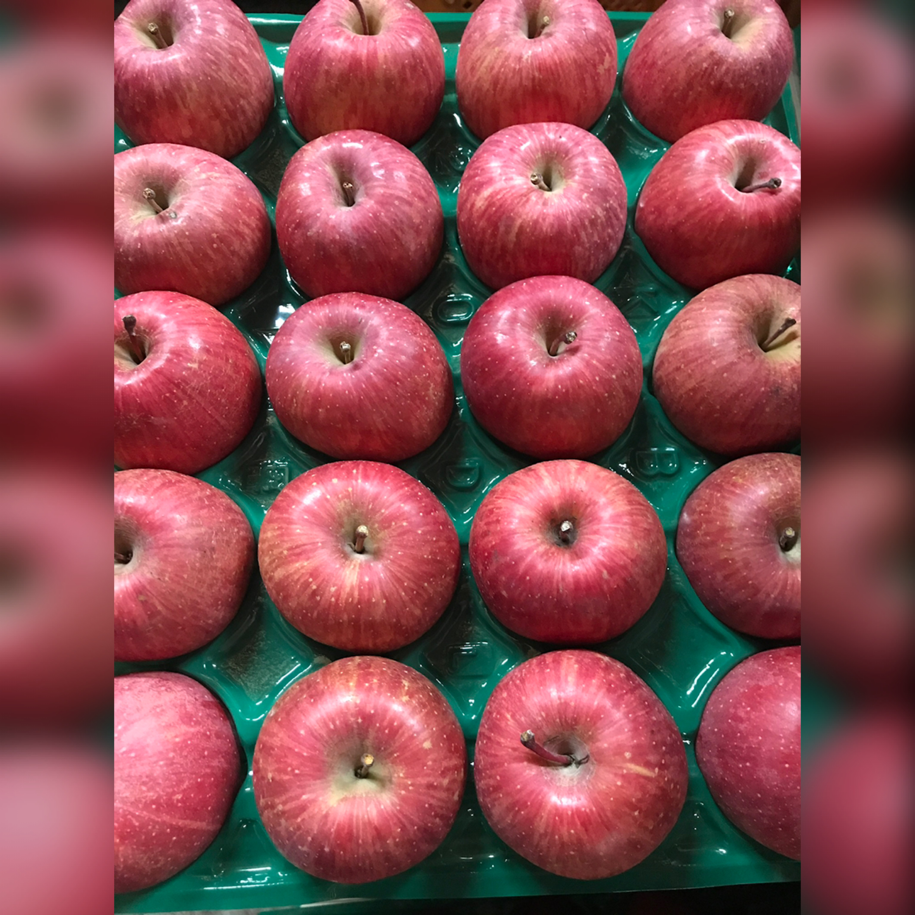 サンふじ Mサイズ 10kg | 椎名秀果園ネットショップ