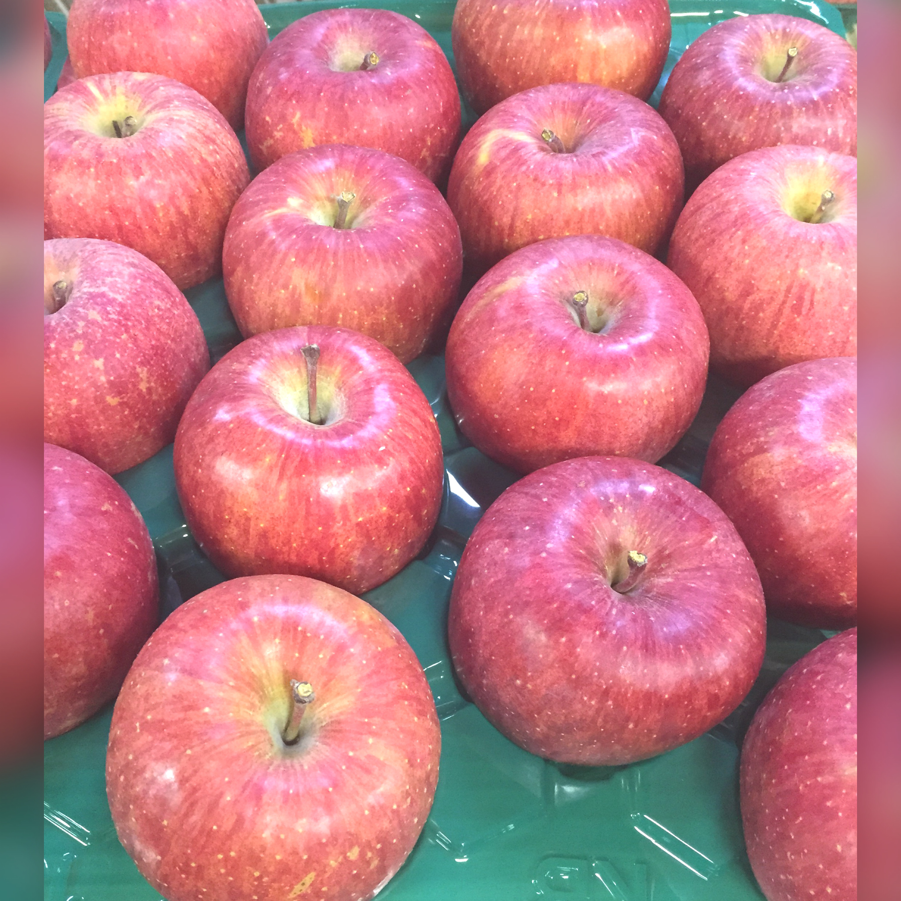 【mumin】サンふじ10kg×② サンふじ 2Lサイズ 10kg | 椎名秀果園ネットショップ