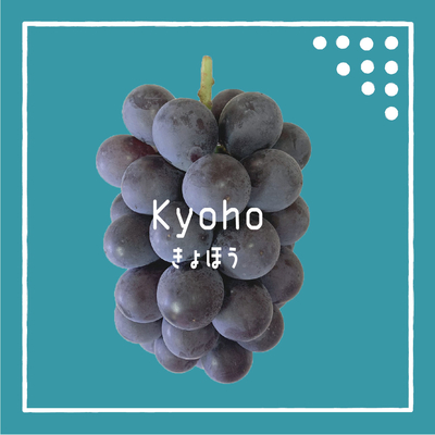 山本葡萄園
