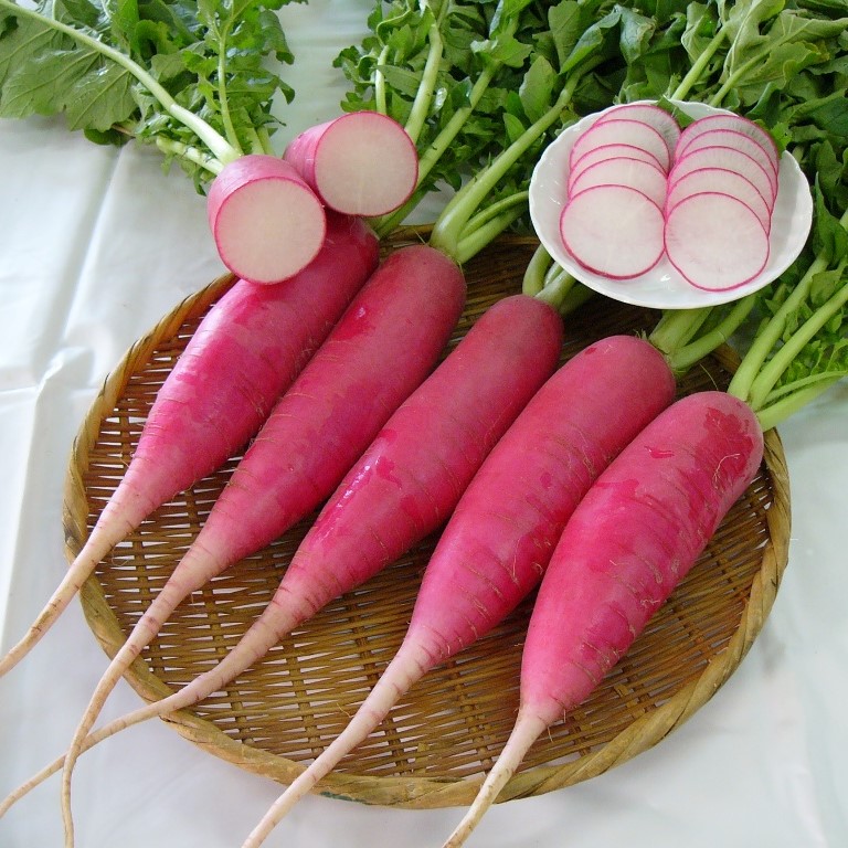 三浦市農協オンラインショップ | 三浦市農協