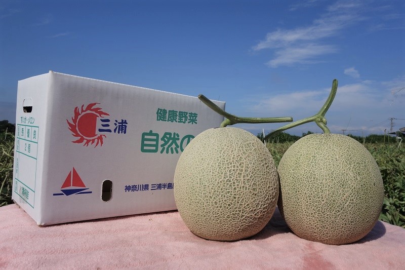 三浦市農協オンラインショップ | 三浦市農協