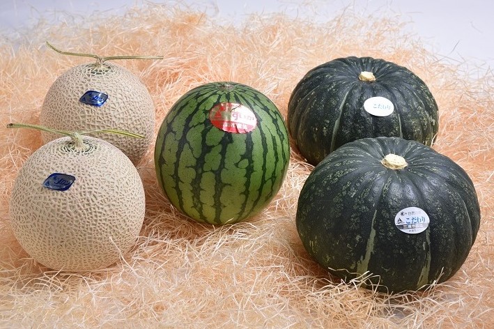 三浦市農協オンラインショップ | 三浦市農協