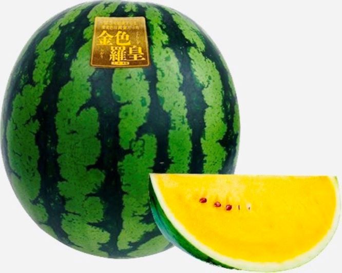 黄金の完熟すいか | 三浦市農協