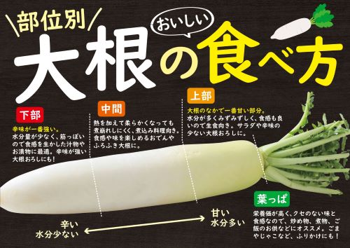 三浦市農協オンラインショップ | 三浦市農協