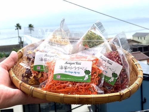 詰合せセット | 三浦市農協