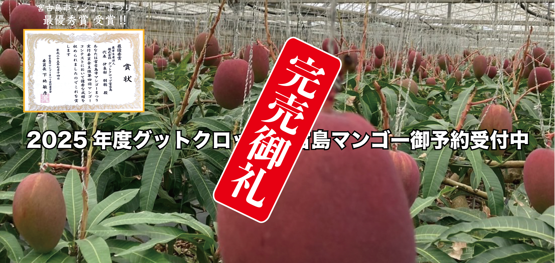 2025年度グットクロップ宮古島