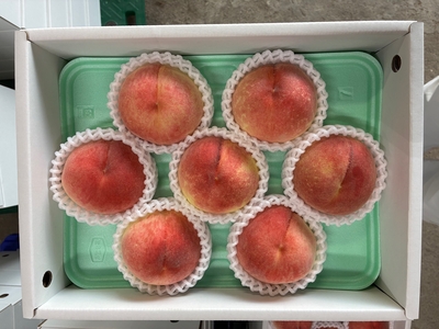 ❅　川中島白桃　中箱7個入り（収穫平年8月初旬~）お届け期日指定なし
