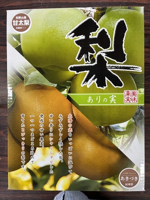 紀州梨　あきづき　小箱５－７個入　８月下旬頃よりお届け　配達期日及び入り個数指定不可