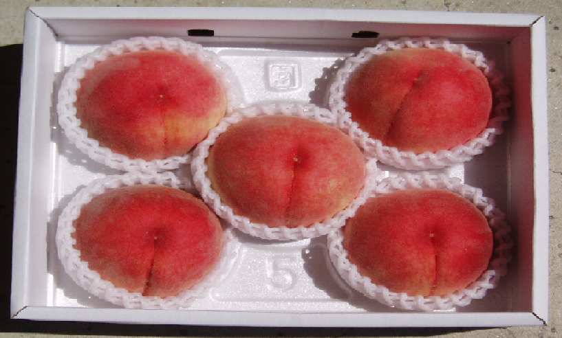 ❅ 川中島白桃 小箱大玉 5個入り （収穫：平年8月初旬～）お届け期日