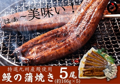 国産うなぎの通販 九州の美味しい鰻なら薩摩川内鰻 国産うなぎの通販 九州の美味しい鰻なら薩摩川内鰻