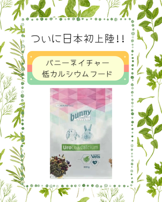 バニーネイチャー　低カルシウムフード　Uro low Clcium