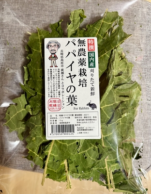 無農薬栽培パパイヤの葉 15g