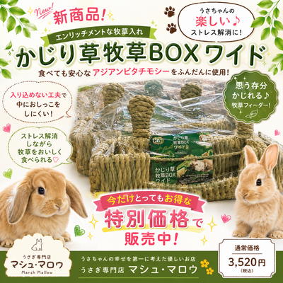 ‪☆特別価格‪☆かじり草 牧草BOXワイド