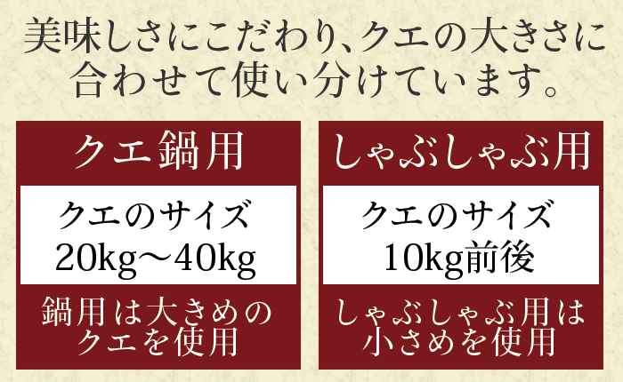 クエ鍋しゃぶセット4人前 送料込み 長崎卓袱浜勝