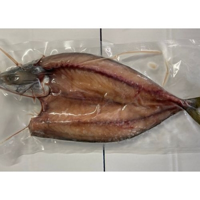 さば開き（福岡産）