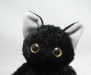【ねこ雑貨 ぬいぐるみ】猫のぬいぐるみ　いっしょがいいね。黒猫ビーンズ　大
