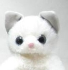 【ねこ雑貨 ぬいぐるみ】猫のぬいぐるみ　いっしょがいいね。白猫ビーンズ　大