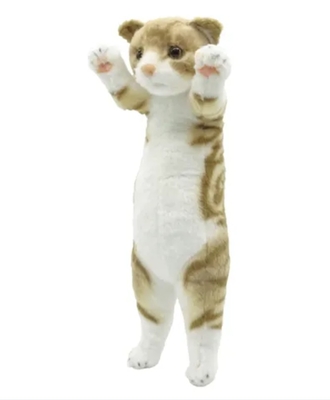 【ねこ雑貨 ぬいぐるみ】猫のぬいぐるみ　たっちぃZooにゃんこライト　スコティッシュフォールド