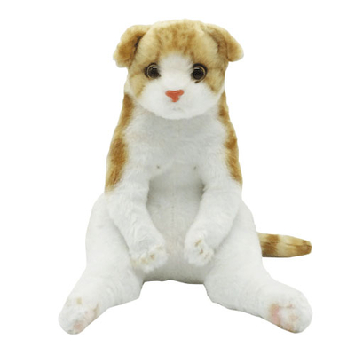 【ねこ雑貨 ぬいぐるみ】猫のぬいぐるみ　すわっちぃZooにゃんこ　スコティッシュフォールド
