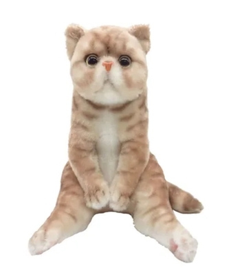 【ねこ雑貨 ぬいぐるみ】猫のぬいぐるみ　すわっちぃZooにゃんこ　エキゾチックショートヘアー