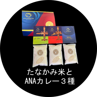 たなかみ米900ｇとANAカレー３種のセット