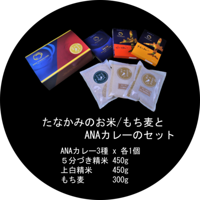 たなかみのお米/もち麦とANAカレーセット