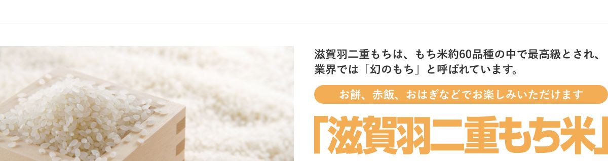 滋賀羽二重もち米