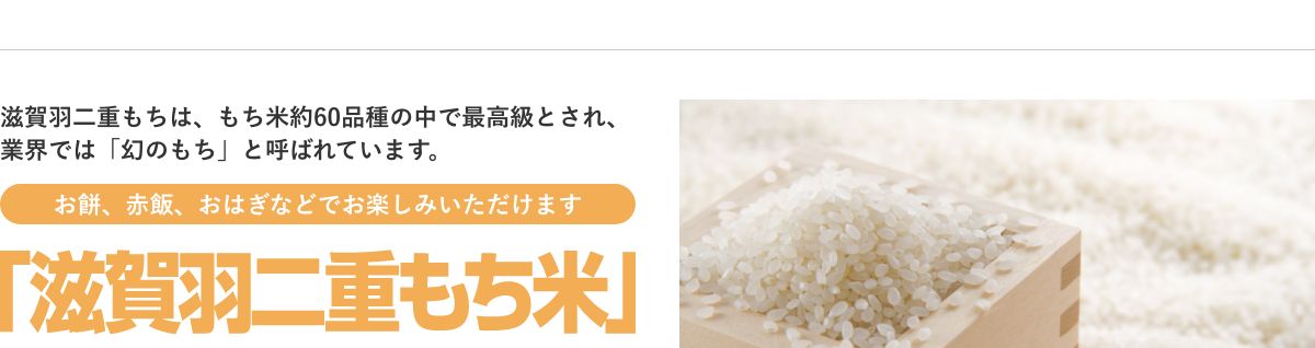 滋賀羽二重もち米