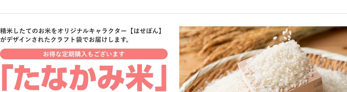 たなかみ米
