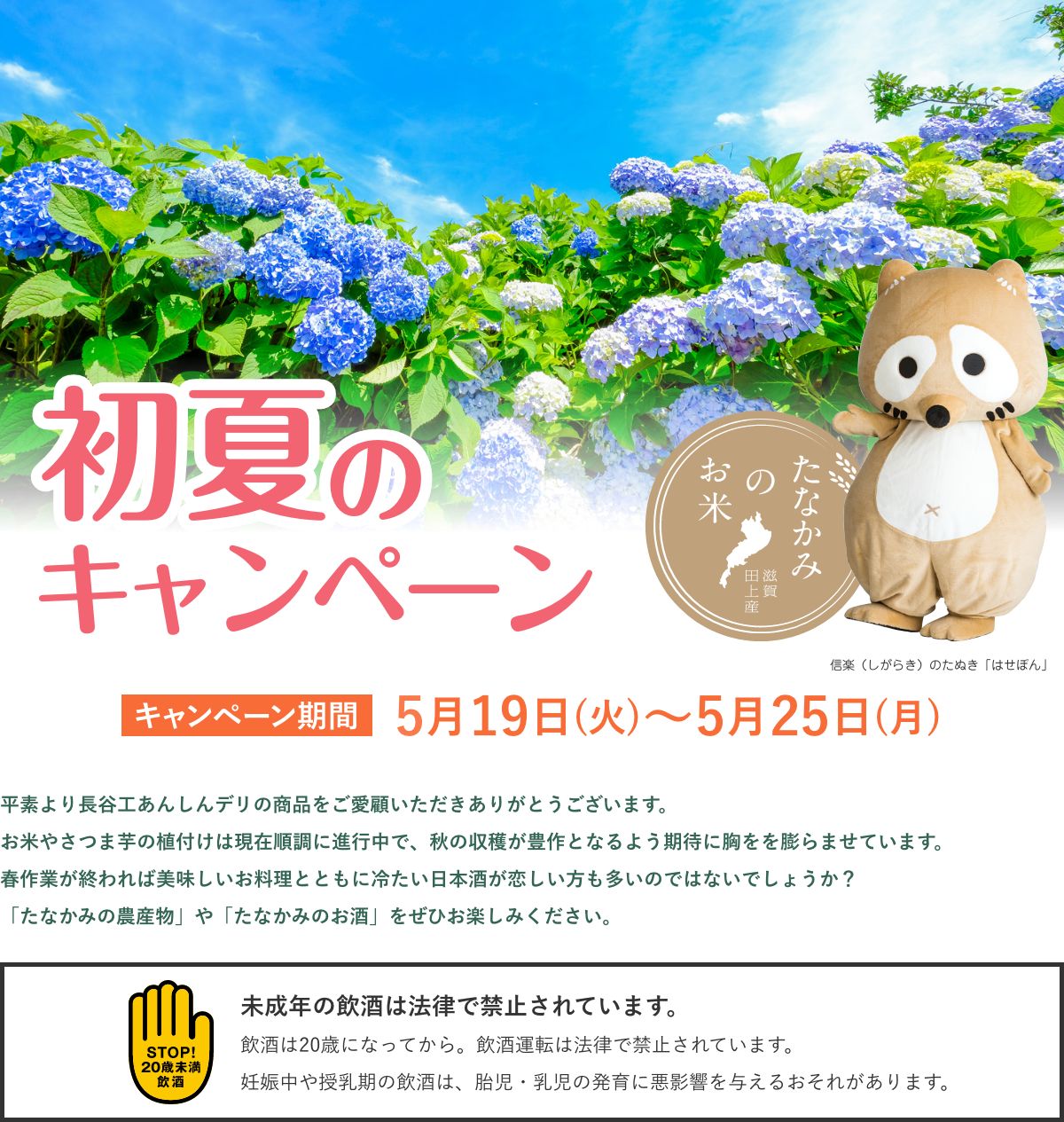 初夏のキャンペーン