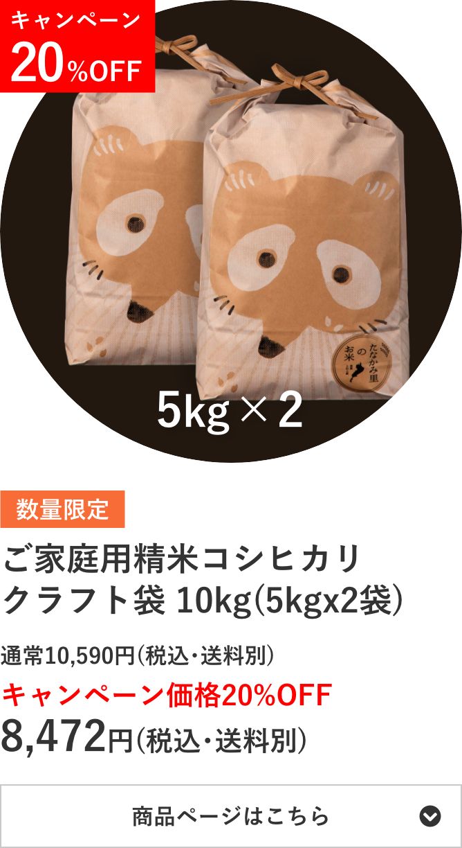 ご家庭用精米コシヒカリ クラフト袋 10kg袋(5kg×2袋)