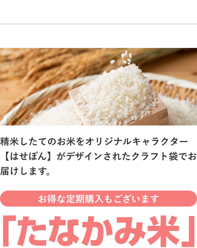たなかみ米