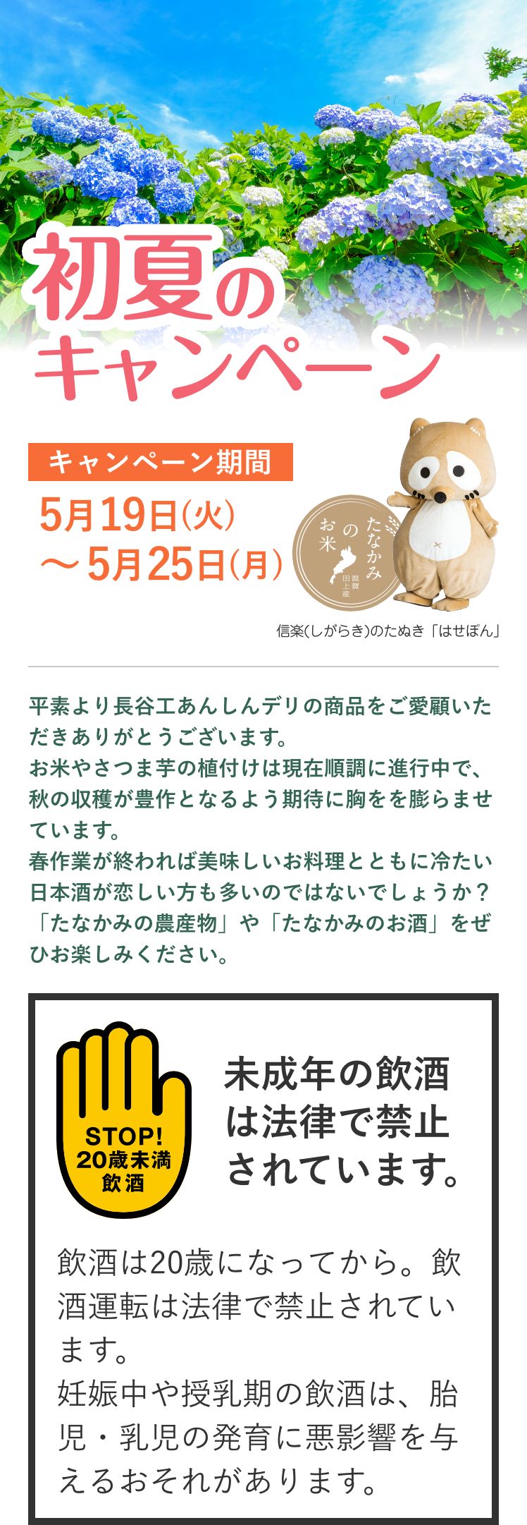 初夏のキャンペーン