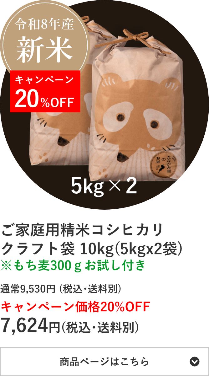 ご家庭用精米コシヒカリ クラフト袋 10kg袋(5kg×2袋)
