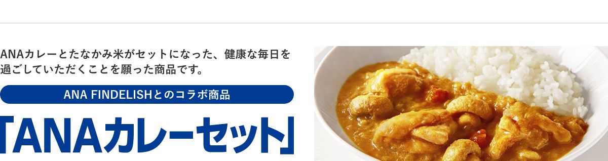 ANAカレーセット