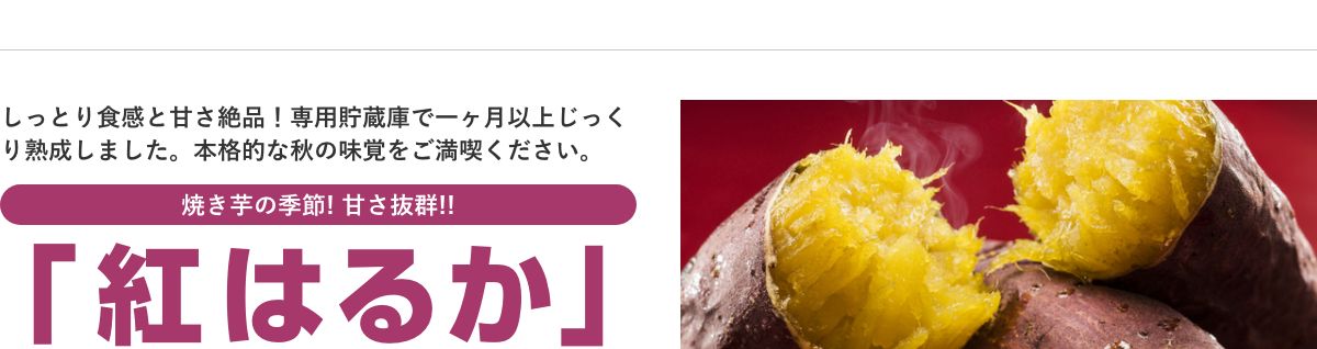 紅はるか